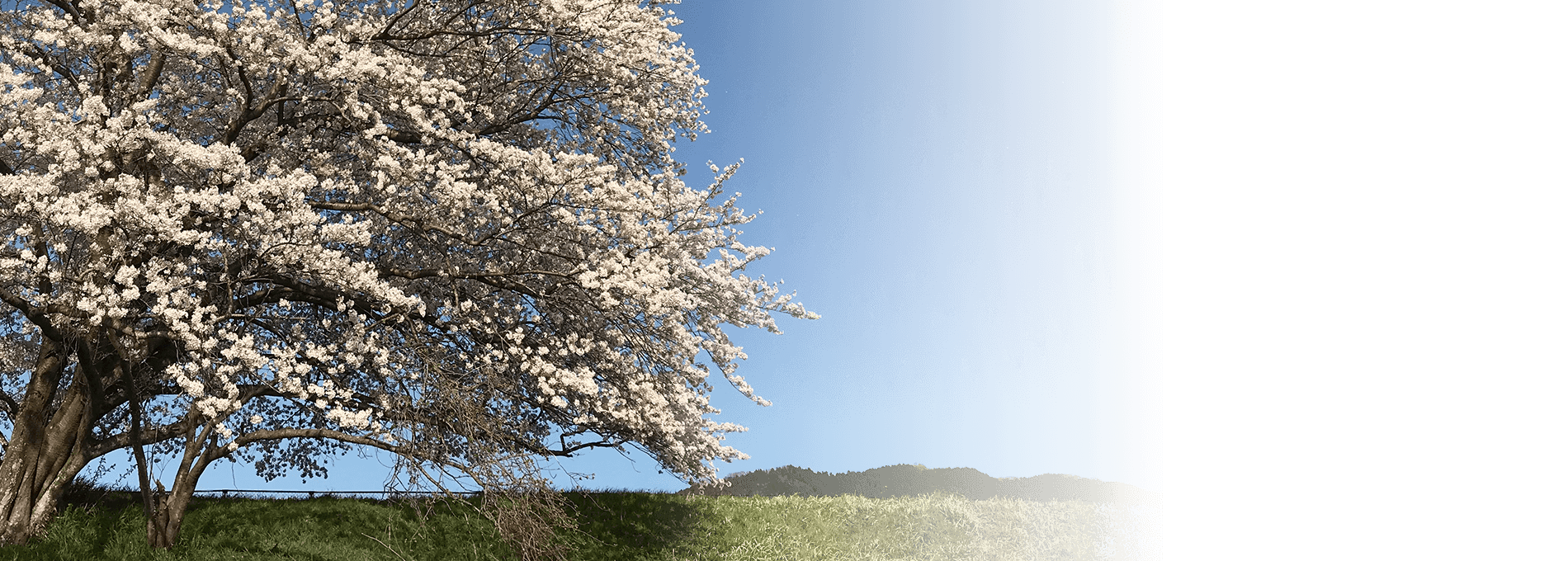 キービジュアル