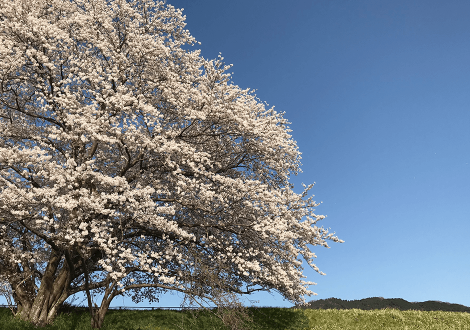 キービジュアル